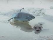 Foto di Stefano Tedioli