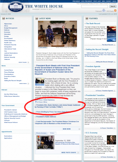 whitehouse and bush cat